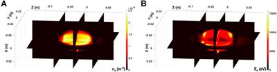 Modeling space-resolved ion dynamics in ECR plasmas for predicting in-plasma β-decay rates